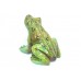 Figurine Handcrafted Natural Green Jade Gem Stone Amphibian Frog Hand Painted F2